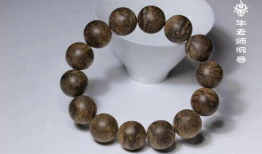 沉香吃瓜爆料视频大全最新,吃瓜爆料视频大全，带你领略神秘沉香世界