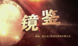 反腐视频,揭秘反腐视频背后的故事